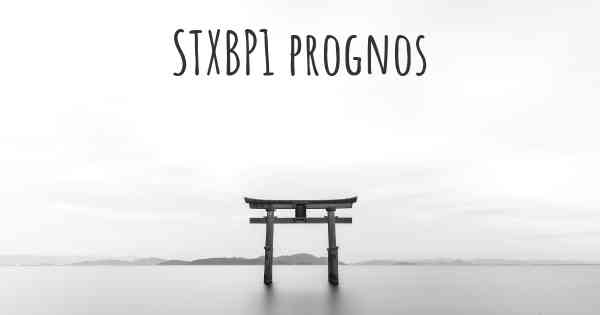 STXBP1 prognos