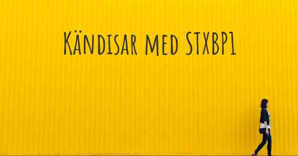 Kändisar med STXBP1