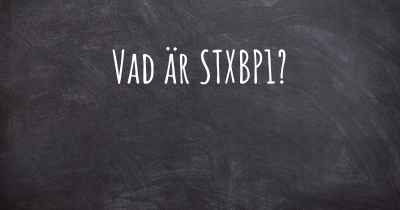 Vad är STXBP1?