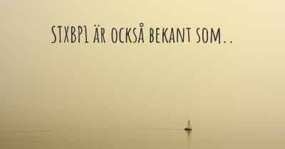 STXBP1 är också bekant som..