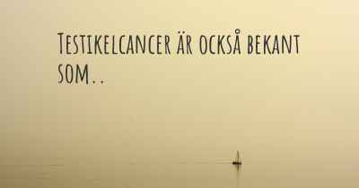 Testikelcancer är också bekant som..