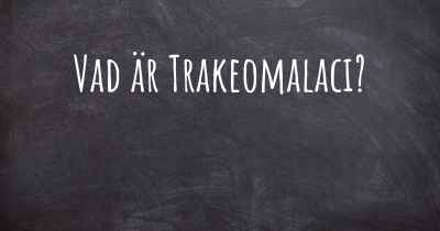 Vad är Trakeomalaci?