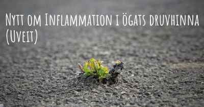 Nytt om Inflammation i ögats druvhinna (Uveit)