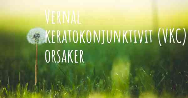 Vernal keratokonjunktivit (VKC) orsaker