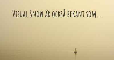 Visual Snow är också bekant som..