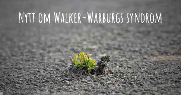 Nytt om Walker-Warburgs syndrom