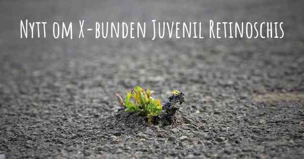 Nytt om X-bunden Juvenil Retinoschis