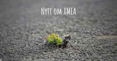 Nytt om XMEA