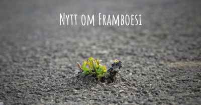 Nytt om Framboesi