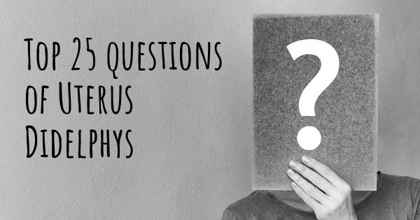 Uterus Didelphys Top 25 Fragen