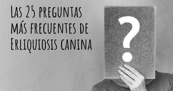 Las 25 preguntas más frecuentes de Erliquiosis canina