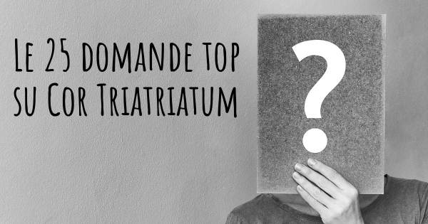 Le 25 domande più frequenti di Cor Triatriatum