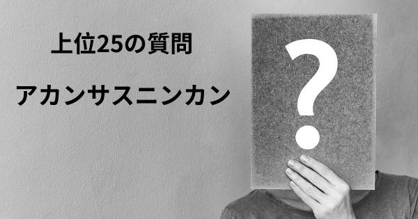 アカンサスニンカントップ25質問