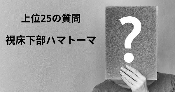 視床下部ハマトーマトップ25質問