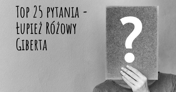 Łupież Różowy Giberta top 25 pytania