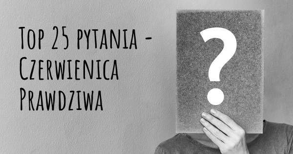 Czerwienica Prawdziwa top 25 pytania