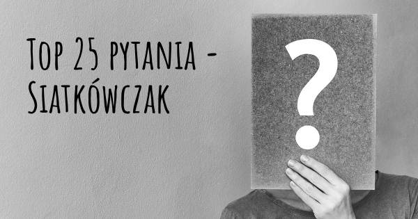 Siatkówczak top 25 pytania