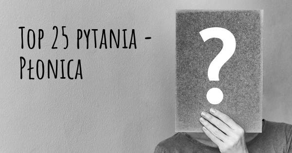 Płonica top 25 pytania