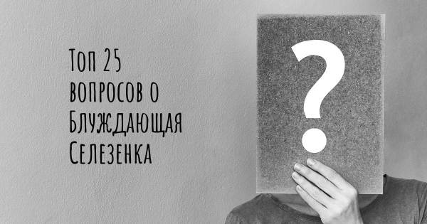 Топ 25 вопросов о Блуждающая Селезенка