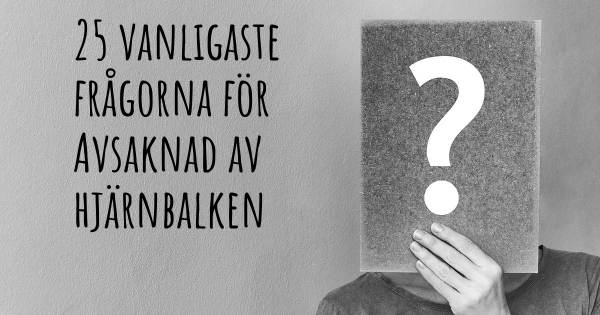 25 vanligaste frågorna om Avsaknad av hjärnbalken