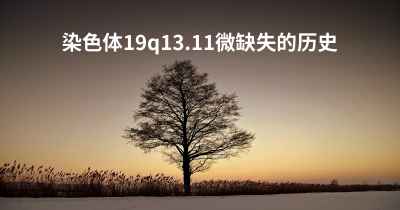 染色体19q13.11微缺失的历史