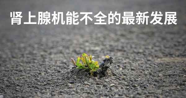 肾上腺机能不全的最新发展