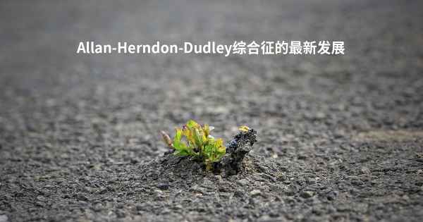 Allan-Herndon-Dudley综合征的最新发展