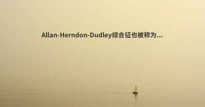 Allan-Herndon-Dudley综合征也被称为...