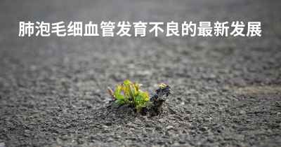 肺泡毛细血管发育不良的最新发展