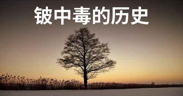 铍中毒的历史