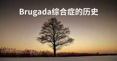 Brugada综合症的历史