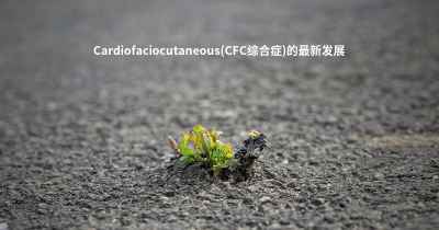 Cardiofaciocutaneous(CFC综合症)的最新发展