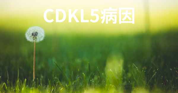 CDKL5病因