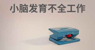 小脑发育不全工作