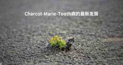 Charcot-Marie-Tooth病的最新发展