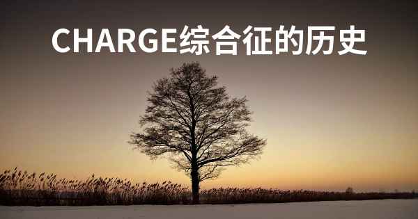 CHARGE综合征的历史