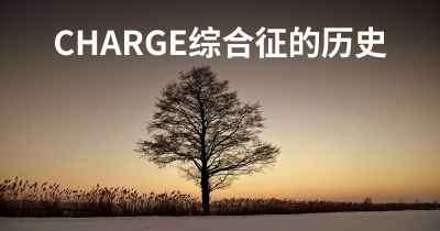 CHARGE综合征的历史