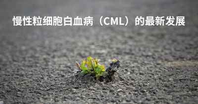 慢性粒细胞白血病（CML）的最新发展