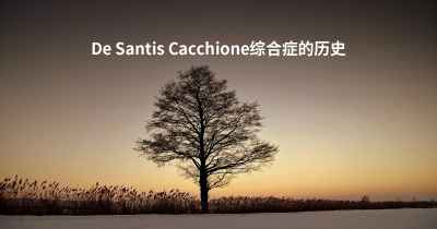De Santis Cacchione综合症的历史