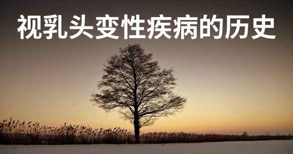 视乳头变性疾病的历史