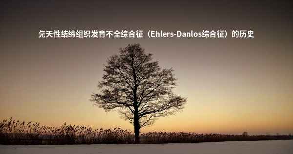 先天性结缔组织发育不全综合征（Ehlers-Danlos综合征）的历史