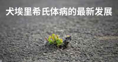 犬埃里希氏体病的最新发展