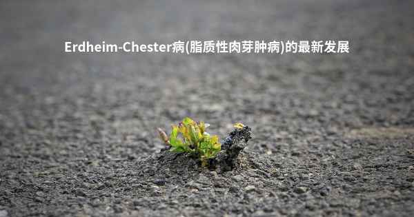 Erdheim-Chester病(脂质性肉芽肿病)的最新发展