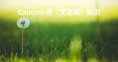 Gaucher病（戈谢病）病因