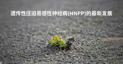 遗传性压迫易感性神经病(HNPP)的最新发展