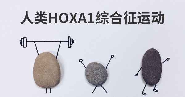 人类HOXA1综合征运动