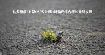 粘多糖病I-H型(MPS-IH型)赫勒氏综合症的最新发展