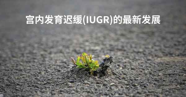 宫内发育迟缓(IUGR)的最新发展