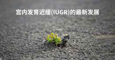 宫内发育迟缓(IUGR)的最新发展