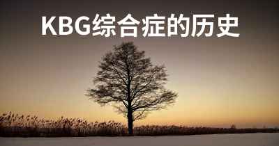 KBG综合症的历史